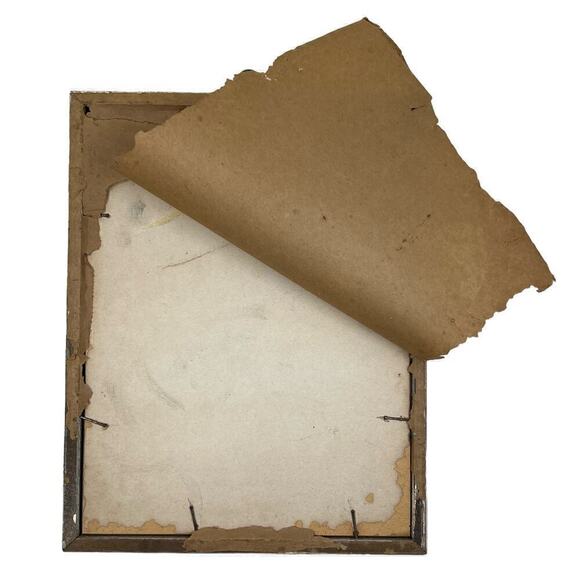 J Gould Splendid Grass Parakeet Offset Litho Print Framed - Picture 7 of 9